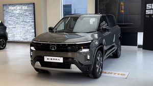 Tata Sierra: ಪವರ್ ತೋರಿಸಲು ಟಾಟಾ ಸಿದ್ಧ.. ಶೋರೂಂಗೆ ಬಂದೆ ಬಿಡ್ತು ಹೊಸ ಸಿಯೆರಾ, ಬೆಲೆ ಎಷ್ಟು.. ಹೇಗಿದೆ?