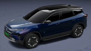 ಟಾಟಾ ಗತ್ತೇ ಬೇರೆ... ಪೈಪೋಟಿ ಕೊಟ್ಟರೆ ಮಕಾಡೆ ಮಲಗಿಸುತ್ತೆ! ಈ ಟಾಟಾ ಕಾರೀಗ ನಂ.1