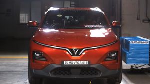 VinFast: ಹೊಸ ಕಂಪನಿಯ ಸಾಮರ್ಥ್ಯ ಪ್ರದರ್ಶನ! ಭಾರತದಲ್ಲಿ ಈ ಕಾರಿಗೆ 5-ಸ್ಟಾರ್ ಸೇಫ್ಟಿ ರೇಟಿಂಗ್ ಘೋಷಣೆ