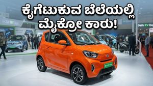ದೆಹಲಿ ಇವಿ ಎಕ್ಸ್‌ಪೋ: ಬಜೆಟ್ ಬೆಲೆಯ ಮೈಕ್ರೋ ಕಾರುಗಳ ಅಬ್ಬರಕ್ಕೆ ಬೆರಗಾದ ಜನ!