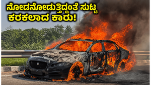 ಯಮುನಾ ಎಕ್ಸ್‌ಪ್ರೆಸ್‌ವೇನಲ್ಲಿ ಜಾಗ್ವಾರ್ ಕಾರಿಗೆ ಬೆಂಕಿ: ನೋಡನೋಡುತ್ತಿದ್ದಂತೆ ಸುಟ್ಟು ಕರಕಲಾದ ಐಷಾರಾಮಿ ವಾಹನ, ಚಾಲಕ ಬಚಾವ್!