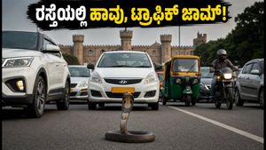 ಬೆಂಗಳೂರಿನ ರಸ್ತೆಯಲ್ಲಿ ಹಾವು ಪ್ರತ್ಯಕ್ಷ: 30 ನಿಮಿಷ ಸಂಚಾರ ಸ್ಥಗಿತ, ವಾಹನ ಸವಾರರು ತೋರಿದ ತಾಳ್ಮೆ ವೈರಲ್!