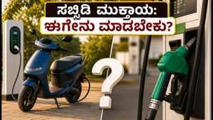 PM E-DRIVE ಸಬ್ಸಿಡಿ ಅಂತ್ಯ: ಇ-ಸ್ಕೂಟರ್ ಬೆಲೆ ಏರಿಕೆ, ಈಗ 1 ಲಕ್ಷ ರೂ. ಬಜೆಟ್‌ನಲ್ಲಿ ಯಾವುದು ಬೆಸ್ಟ್?
