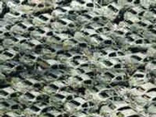 సునామీతో జపాన్ ఆటో పరిశ్రమ రోజుకి 150 మిలియన్ డాలర్ల నష్టం