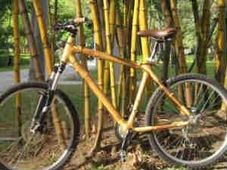 వెదురు బొంగులతో సైకిల్‌ను రూపొందించిన ఔత్సాహిక డిజైనర్