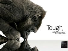 కార్నింగ్ గొరిల్లా గ్లాస్ కార్ విండ్‌షీల్డ్స్ వస్తున్నాయ్..!