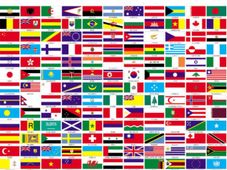 వరల్డ్ కప్ ఫీవర్: కార్ ఫ్లాగ్స్‌తో పెరుగుతున్న ఇంధన వినియోగం