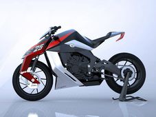 ఫెలైన్ వన్.. ధర వింటే దిమ్మ తిరిగి మైండ్ బ్లాంక్ అవుద్ది!