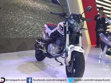 ఎక్స్ పో వేదిక మీద బెనెల్లీ టొరాండో టి-135 ప్రదర్శన: ఫోటోలతో కూడిన వివరణ