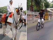 కేజ్రీ సరి బేసి దెబ్బకు గుర్రాలు, సైకిళ్లలో వెళుతున్న బిజెపి నాయకులు