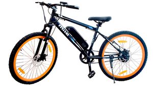 భారత్‌లో ఇ-సైకిళ్లను విడుదల చేసిన గోజీరో.. పూర్తి వివరాలు