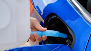 అదేంటి పొలంలో వాడే యూరియాను డీజిల్ కార్లలో ఎందుకు పోస్తారు.. లేకపోతే కారు స్టార్ట్ అవ్వదా?