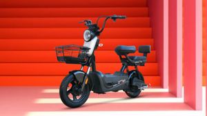 పెట్రోల్ టెన్షన్ లేదు.. పైసా ఖర్చు లేకుండా రోజూ 80 కి.మీ. ప్రయాణం.. సైకిల్ ధరకే ఎలక్ట్రిక్ మొపెడ్!