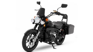 ఈ బైక్ కొంటే పెట్రోల్ బంక్‌లో క్యూ కట్టాల్సిన అవసరం లేదు.. మీ బడ్జెట్ ధరకే వస్తోంది!