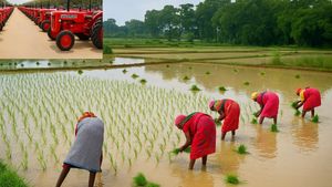 ఊహించని విధంగా రైతులకు పెద్ద గిఫ్ట్ ఇచ్చిన జీఎస్టీ కౌన్సిల్.. ఇక వ్యవసాయ రంగానికి పండగే