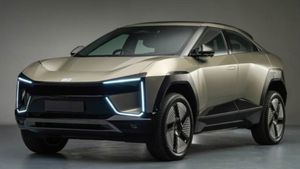 ఈ ఎలక్ట్రిక్ ఎస్‌యూవీ కోసం దేశం మొత్తం ఎదురు చూస్తోంది.. ఇది కారు కాదు... సూపర్ స్టార్!