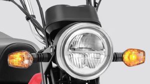 పల్లెటూరి పల్సర్.. లోడ్ ఏదైనా, దారి ఎలా ఉన్నా గాడిదలా దూసుకెళ్లాల్సిందే.. ఎక్స్‌ఎల్ తగ్గేదేలే