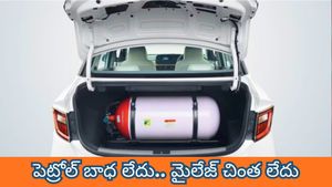 పెట్రోల్ బాధ లేదు.. మైలేజ్ చింత లేదు.. ఒక్క ఏడాదిలో 7 లక్షల కార్లను ప్రపంచ దేశాలకు పంపిన ఆటో దిగ్గజం
