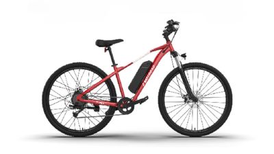 പെട്രോളും ഡീസലും കിട്ടാതാവുമോ? 50,000 രൂപയ്ക്ക് താഴെ വാങ്ങാൻ പറ്റുന്ന നല്ല ഇലക്‌ട്രിക് സൈക്കിളുകൾ നോക്കിവെച്ചോ