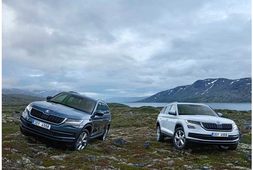 1 लाख रुपए में Skoda India ने शुरू की अपनी Kodiaq SUV की बुकिंग