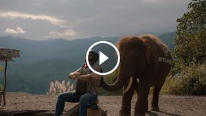 'हाथी मत पालो' ऐड के जरिए रॉयल एनफील्ड पर फिर अटैक