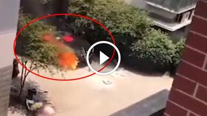 ब्रांड न्यू BMW की पूजा करते समय लगी आग, हुई धुआं-धुआं - देखें विडियो