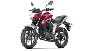 यामाहा FZ-25 को टक्कर देने जल्द आ भारत आ रही है सुजुकी जिक्सर 250