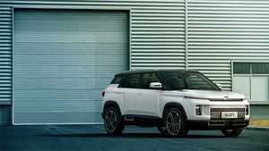 चीन की इस कंपनी का दावा, उनकी कार बचाएगी कोरोना वायरस से