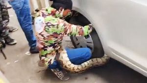 Snake In A Car Causes Massive Traffic Jam: मारुति डिजायर के पहियों से लिपटा सांप, हुआ ट्रैफिक जाम