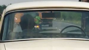 Car Runs On Highway Without Driver: हाईवे पर बिना ड्राइवर के चलती दिखी कार, जानें क्या है रहस्य