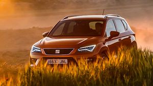 Car Parts Made From Rice Husk: यह कार कंपनी चावल के भूसे से बनाएगी कारों के पार्ट्स, जानें