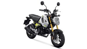 Honda Grom 125cc Patent For India: होंडा ने ग्रोम 125 सीसी को भारत में कराया पेटेंट, जानें
