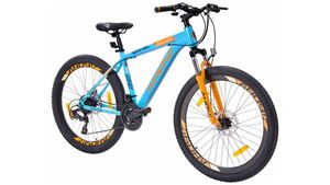 Ahoy Launched Luminous Bicycles: अहोय बाइक्स ने लाॅन्च की लुमिनस तकनीक आधारित साइकिल, जानें खासियत