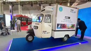 Three Wheeler Corona Vaccine Carrier: देश के कोने-कोने तक कोविड-19 वैक्सीन पहुंचाएगी यह इलेक्ट्रिक थ्री-व्हीलर