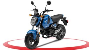 New Honda Grom To Launch Soon In America: नई होंडा ग्रोम जल्द होगी अमेरिका में लाॅन्च, जानें