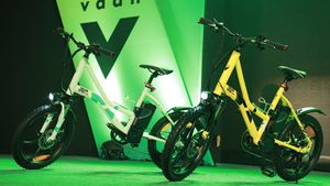 Vaan Electric ने भारत में लाॅन्च की इलेक्ट्रिक साइकिल, कीमत 59,999 रुपये से शुरू