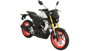 अब नहीं खरीद पाएंगे Yamaha MT-15 बाइक, कंपनी ने बंद की बिक्री, जानें क्या है वजह