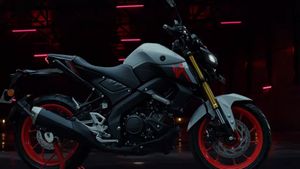 नई Yamaha MT-15 का लुक अब और भी होगा स्पोर्टी, कंपनी ने पेश की एक्सेसरीज की पूरी रेंज
