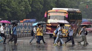 पैदल चलने वाले नहीं रखेंगे जेबरा क्रॉसिंग का ध्यान, चालकों को सड़क पर रहना होगा सतर्क - कोर्ट