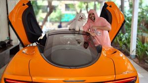 कार्तिक आर्यन की मैक्लारेन जीटी पर चढ़कर पेट डॉग कटोरी ने रोका रास्ता, जानें फिर क्या हुआ