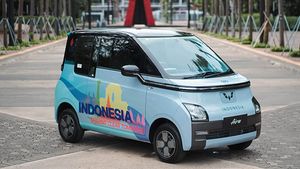 लाॅन्च से पहले जी20 समेल्लन में नजर आई एमजी की इलेक्ट्रिक कार, फुल चार्ज पर चलती है 300 किमी