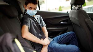 Car Safety: कार में पीछे बैठे यात्रियों को भी लगाना होगा सीट बेल्ट, सरकार लाने जा रही नया नियम! 