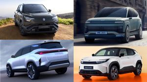 500 Km+ रेंज, जबरदस्त फीचर्स और 4x4 ड्राइवट्रेन! 2025 में एंट्री मारेंगी ये 5 Electric SUV; नाम जान लीजिए