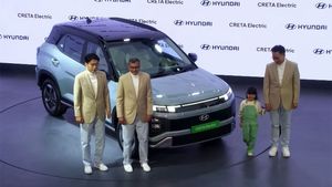 Auto Expo 2025: 473 Km रेंज, बड़ा सनरूफ और ADAS सेफ्टी; Hyundai Creta Electric मात्र इतने रुपये में लॉन्च 