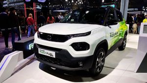 Tata Punch Flex Fuel: पेट्रोल, CNG और बैटरी के बाद अब इथेनॉल से चलेगी ये SUV! 