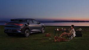 11 एयरबैग, 360-डिग्री कैमरा और ADAS! फरवरी 2025 में लॉन्च हुईं ये शानदार कार, 9.99 लाख वाली SUV भी शामिल