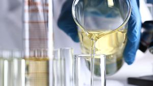 घर बैठे पेट्रोल की क्वालिटी चेक करना है, तो फॉलो करें ये स्टेप; हो जाएगा एक-एक बूंद का हिसाब!