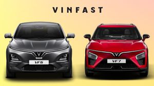 VinFast VF6 और VF7 मार्केट में कल मारेंगी एंट्री, जानिए डिजाइन से लेकर रेंज तक की डिटेल!