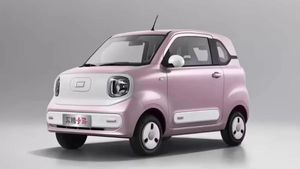 Nano से भी छोटी-सी इलेक्ट्रिक कार सिंगल चार्ज में दौड़ेगी 1200Km रेंज, कई लग्जरी फीचर्स से लैस, कीमत ₹3.47 लाख