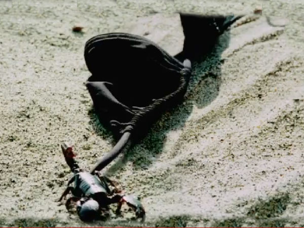 फिएट का यह सेक्‍सी टीवी विज्ञापन देख दंग रह जायेंगे 